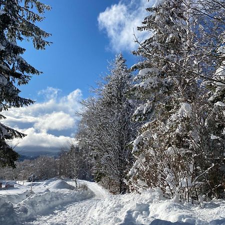 Pine Lodge Hlevci ภายนอก รูปภาพ