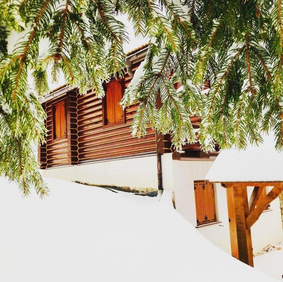 Pine Lodge Hlevci ภายนอก รูปภาพ