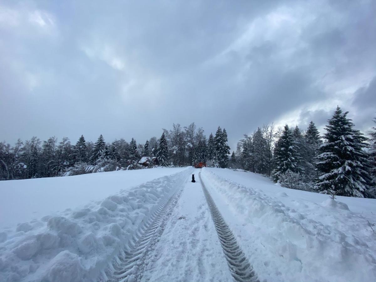 Pine Lodge Hlevci ภายนอก รูปภาพ